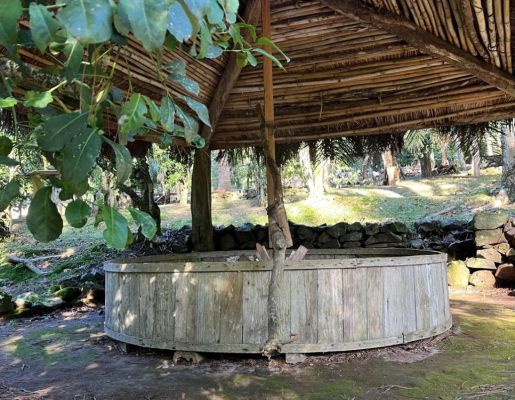 Foto - Processo Histórico da erva mate.