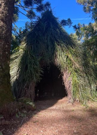 Processo Histórico da erva mate.