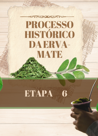 PROCESSO HISTÓRICO DA ERVA-MATE
