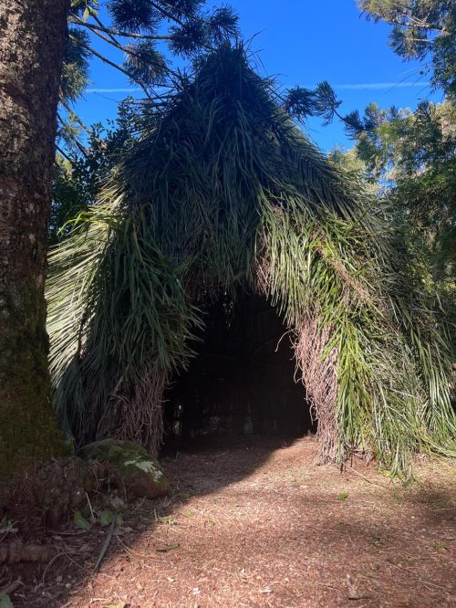 Processo Histórico da erva mate.
