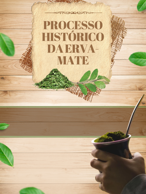 PROCESSO HISTÓRICO DA ERVA-MATE