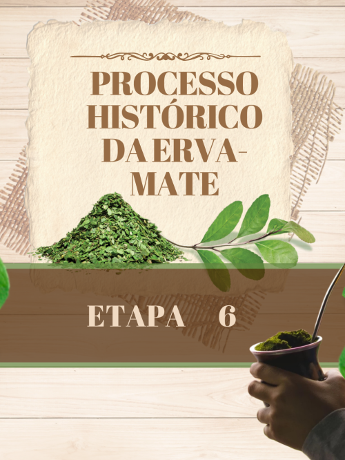 PROCESSO HISTÓRICO DA ERVA-MATE